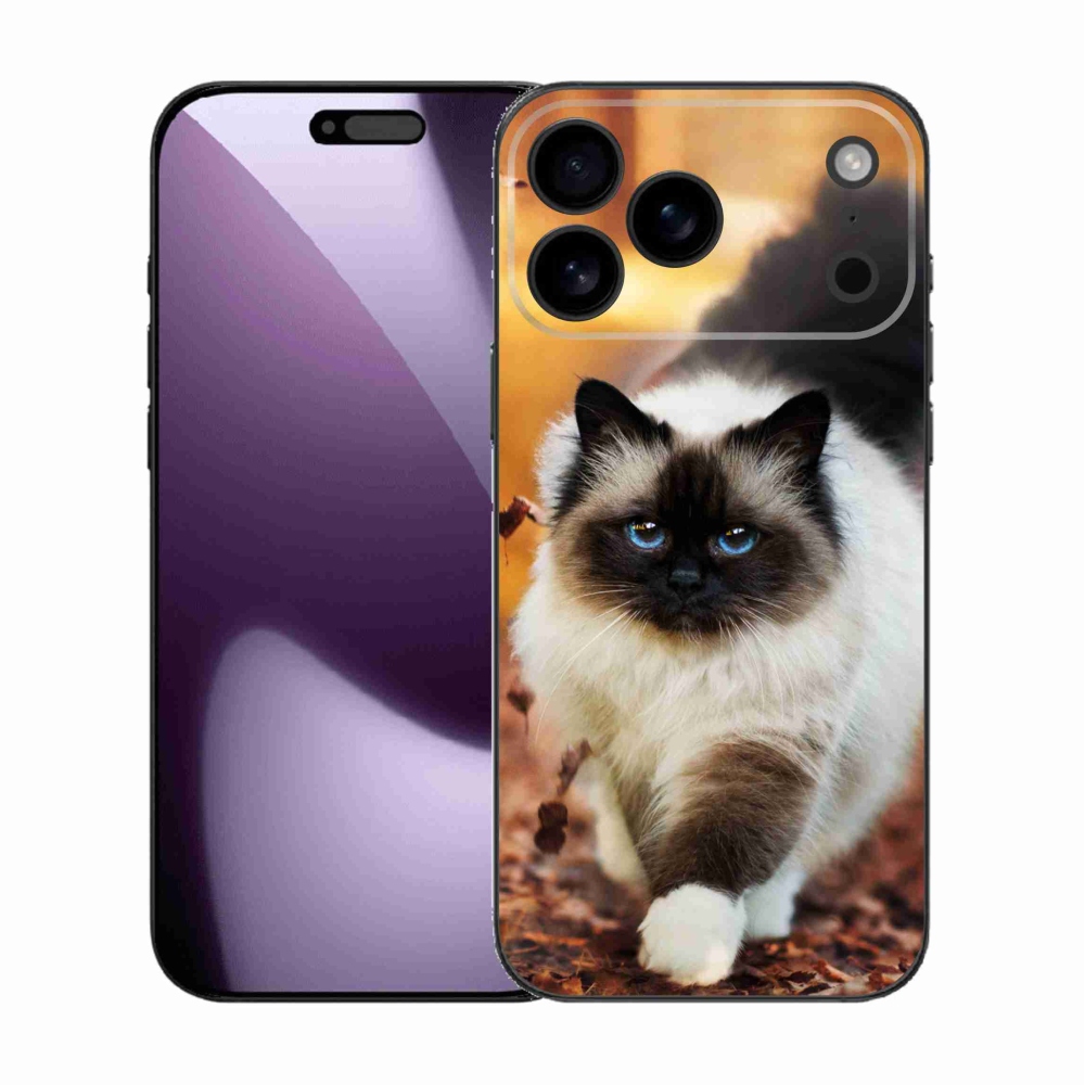 Zselés borítás mmCase iPhone 17 Pro Max készülékhez - macska