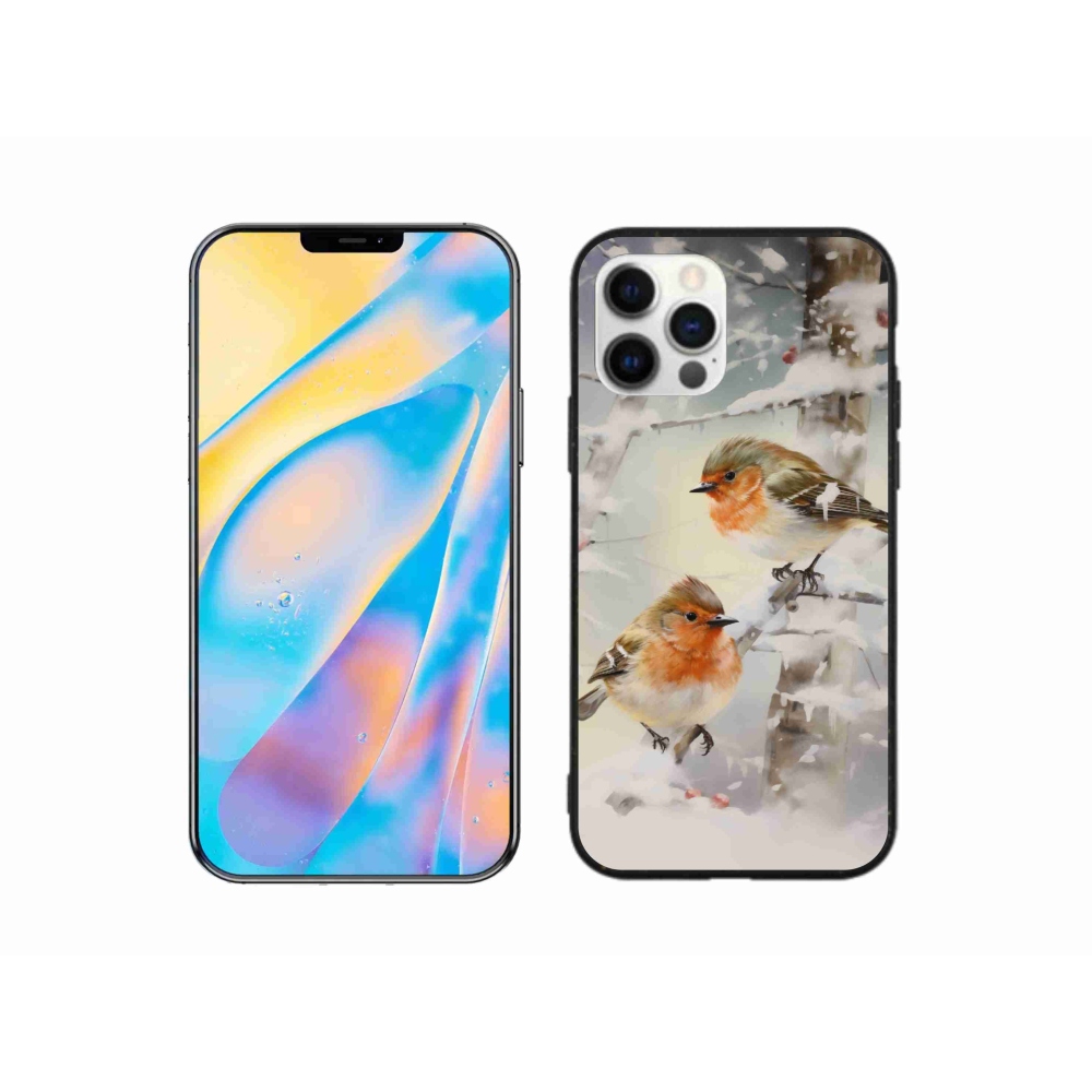 Gél borítás mmCase iPhone 12 készülékhez - madarak télen