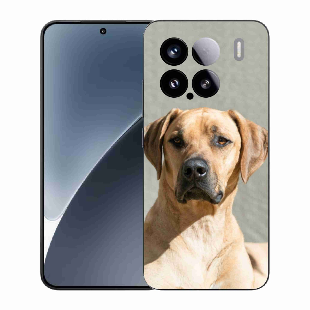 Gél borítás mmCase a Xiaomi 15-hez - ridgeback