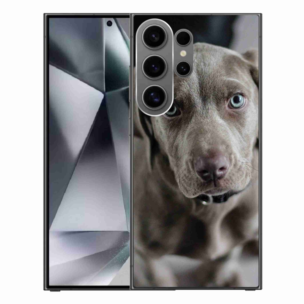 Gél tok mmCase a Samsung Galaxy S24 Ultra készülékhez - výmarský ohař