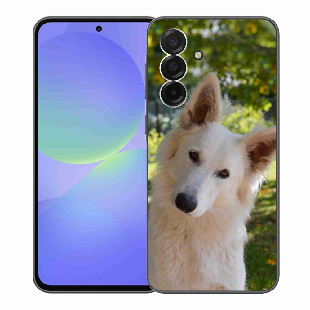 Gél védőhuzat mmCase Samsung Galaxy A36 5G - fehér svájci juhász 1