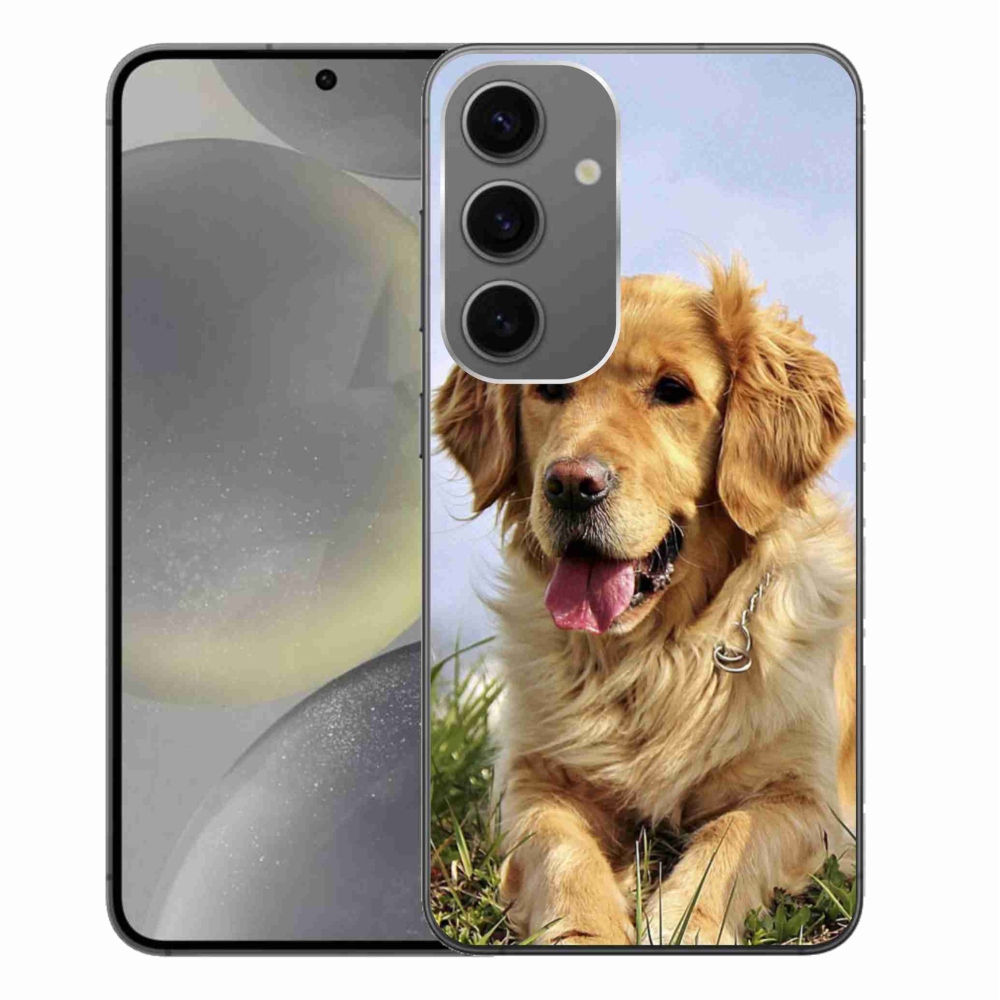 Gél tok mmCase Samsung Galaxy S24+ készülékhez - arany retriever