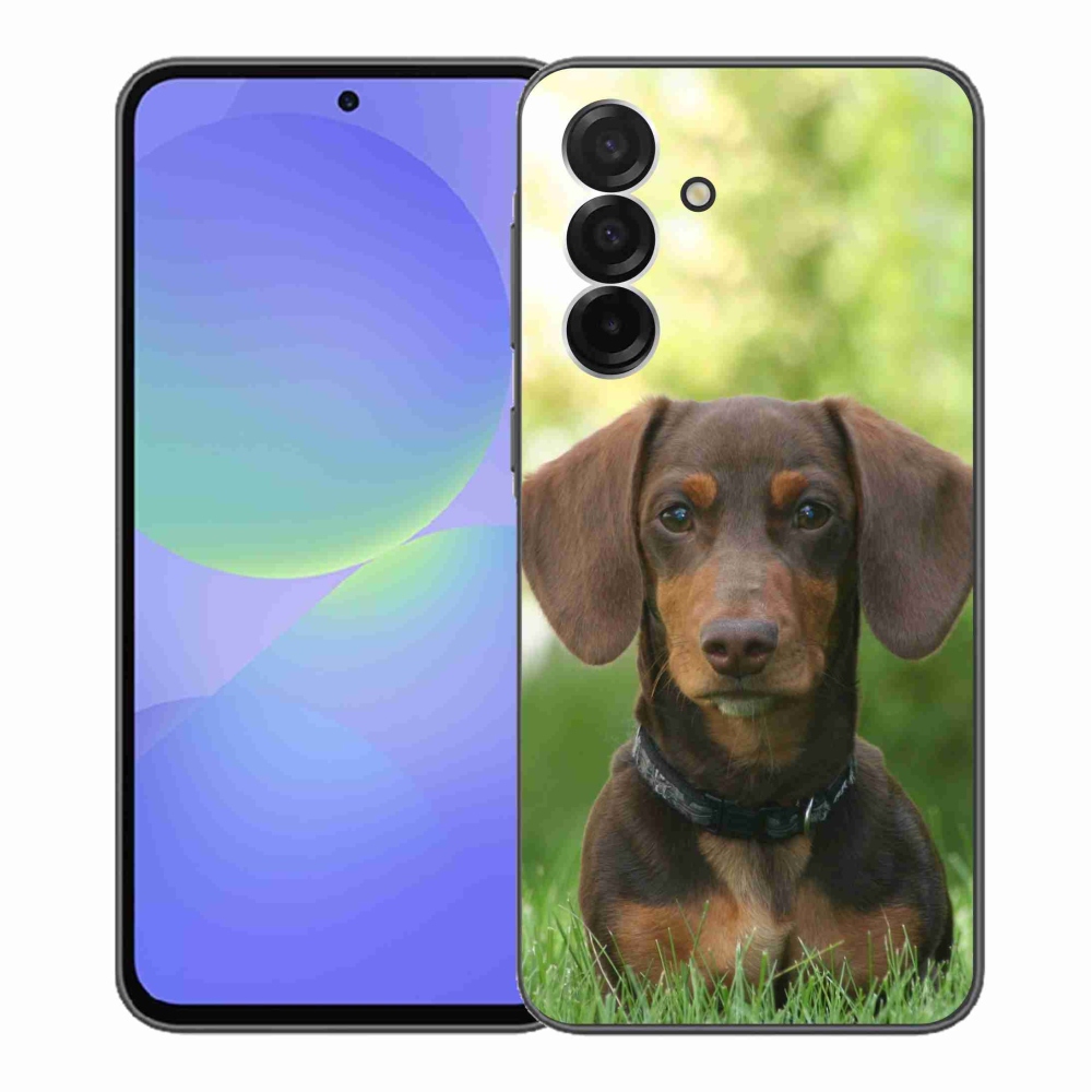 Zselés borítás mmCase Samsung Galaxy A36 5G - barna tacskóhoz