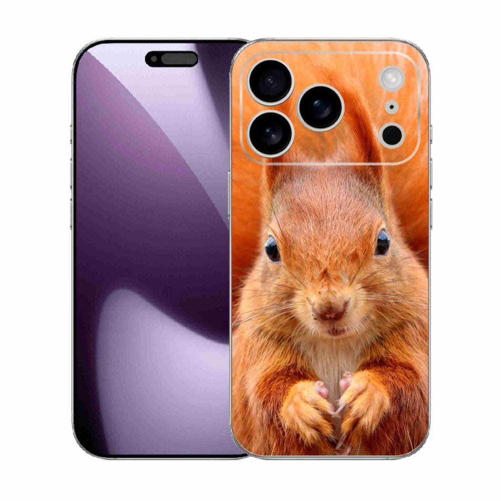 Zselés borítás mmCase iPhone 17 Pro készülékhez - mókus