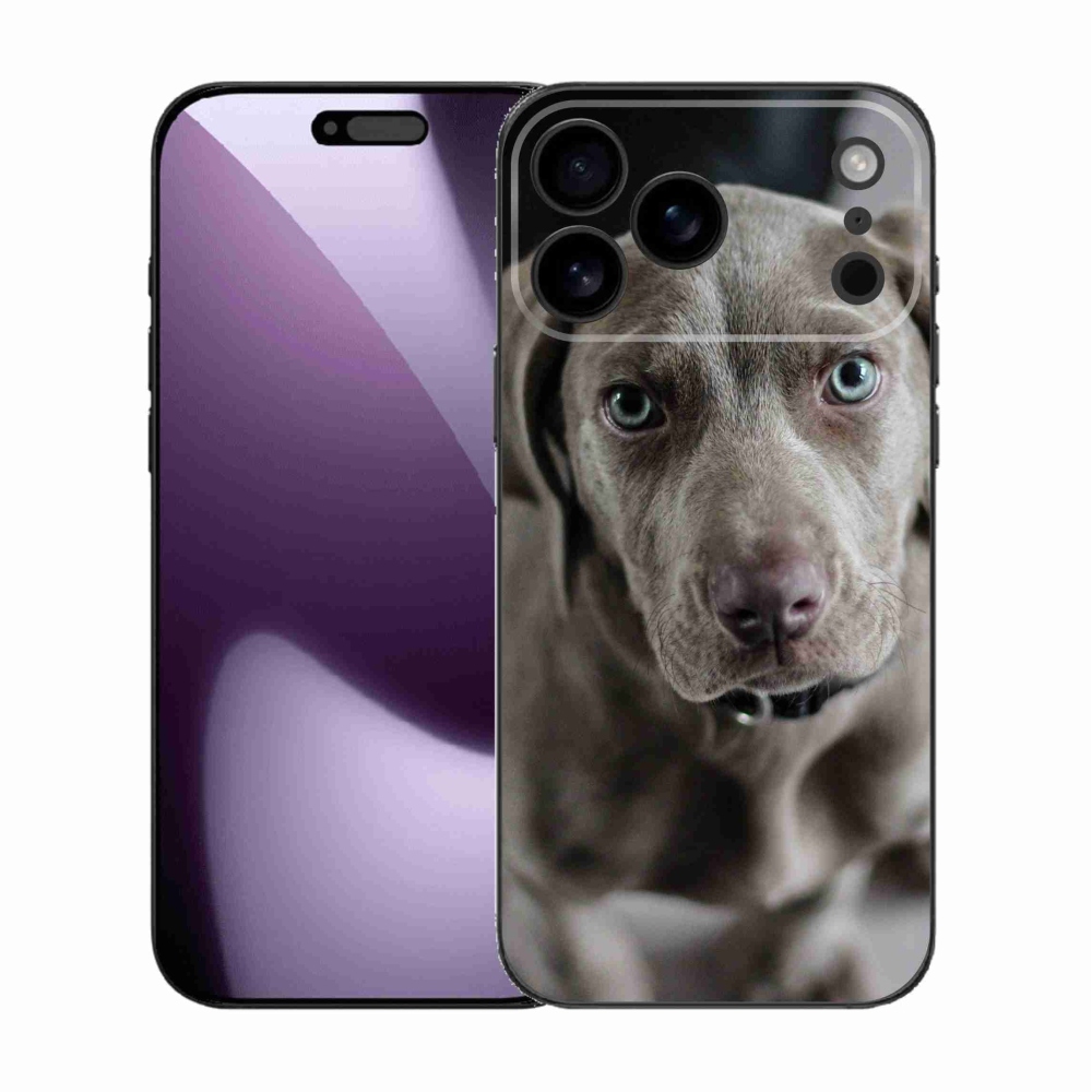 Gél borítás mmCase iPhone 17 Pro Max készülékhez - Egzotikus kutya