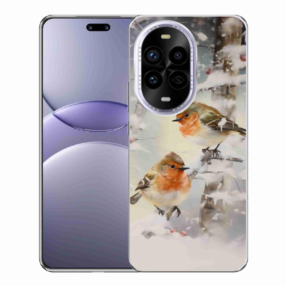 Gél borítás mmCase a Huawei Nova 13 Pro 5G számára - madarak télen
