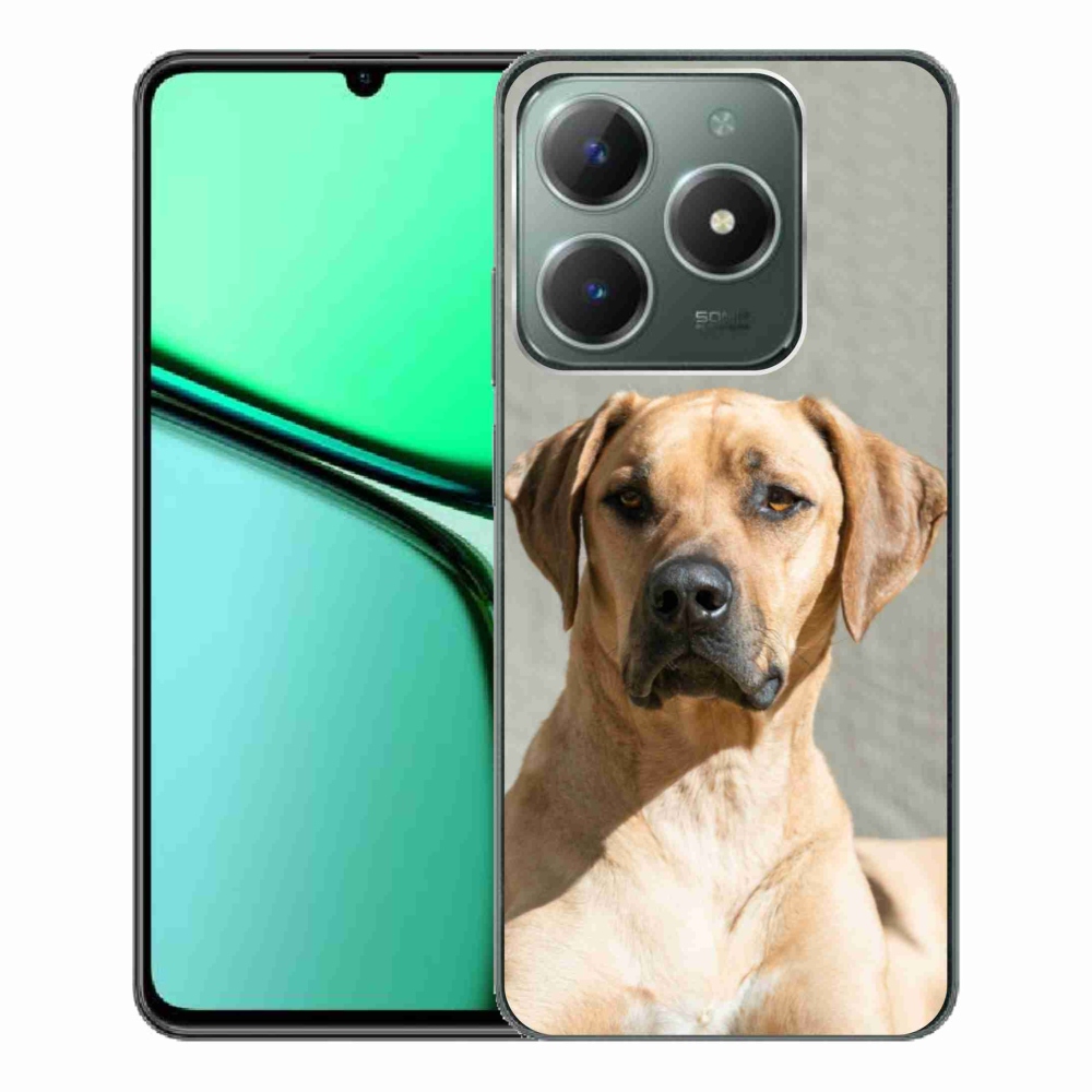 Gél borítás mmCase a Realme C61 készülékhez - ridgeback