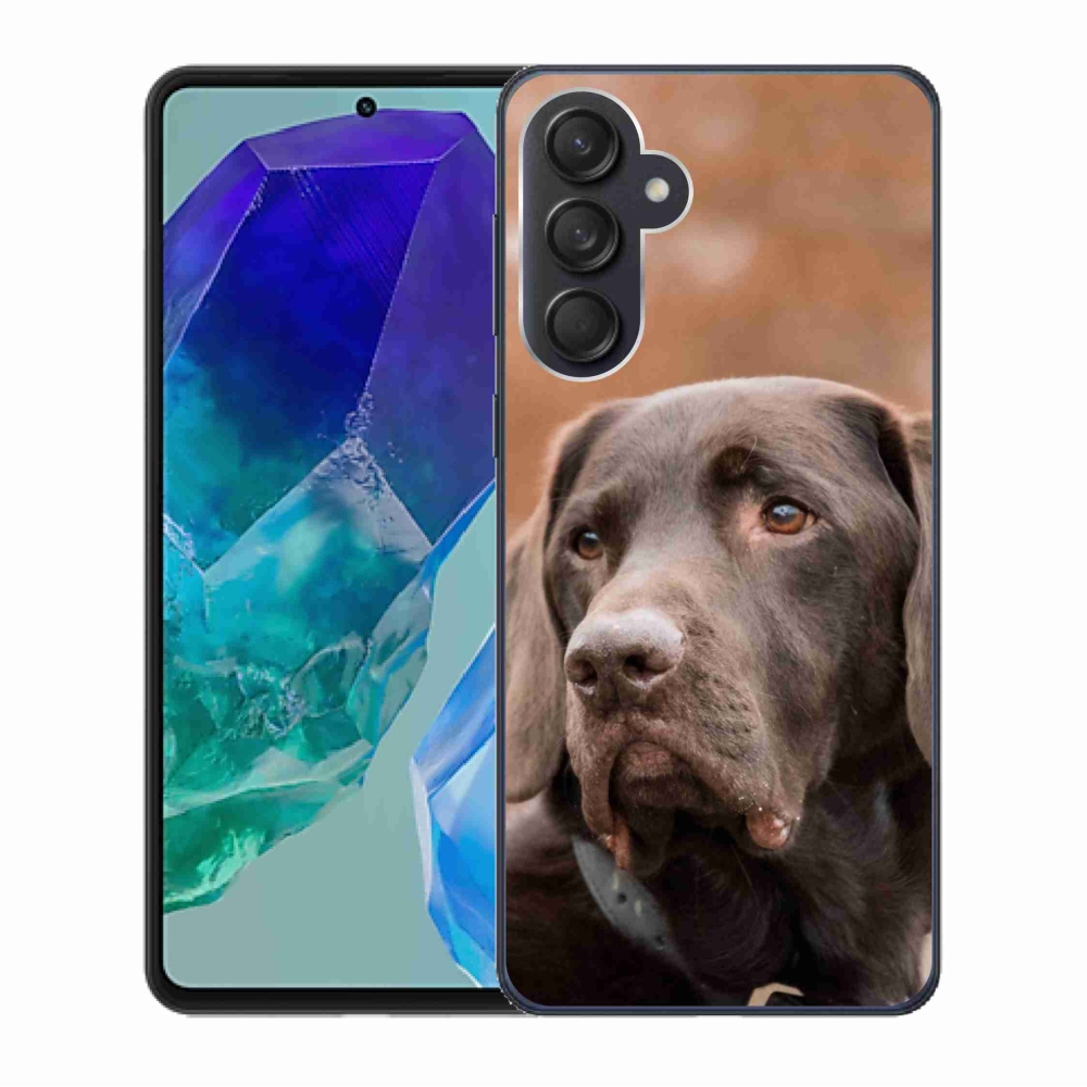 Gél tok mmCase a Samsung Galaxy M55 5G készülékhez - barna labrador