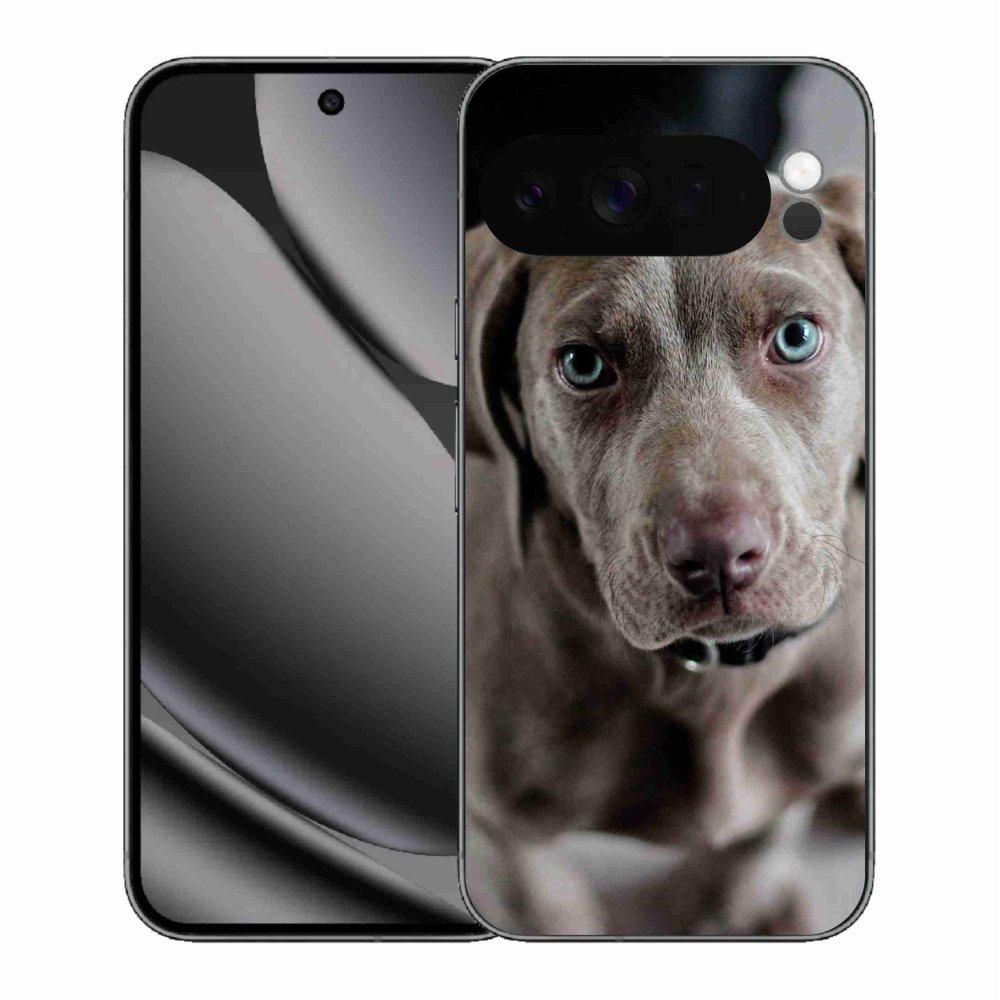 Gél borítás mmCase a Google Pixel 10 Pro XL-hez - a nemes vadászkutya