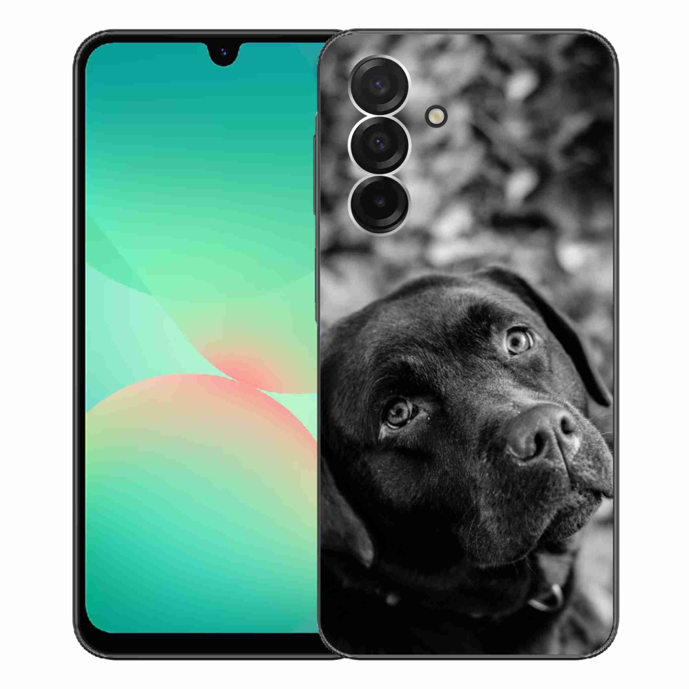 Gél borítás mmCase Samsung Galaxy A26 5G - labrador