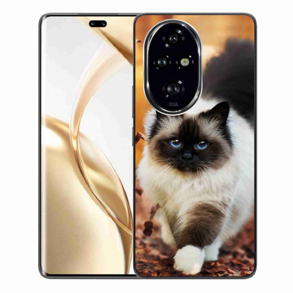 Gél tok mmCase a Honor 200 Pro 5G készülékhez - macska