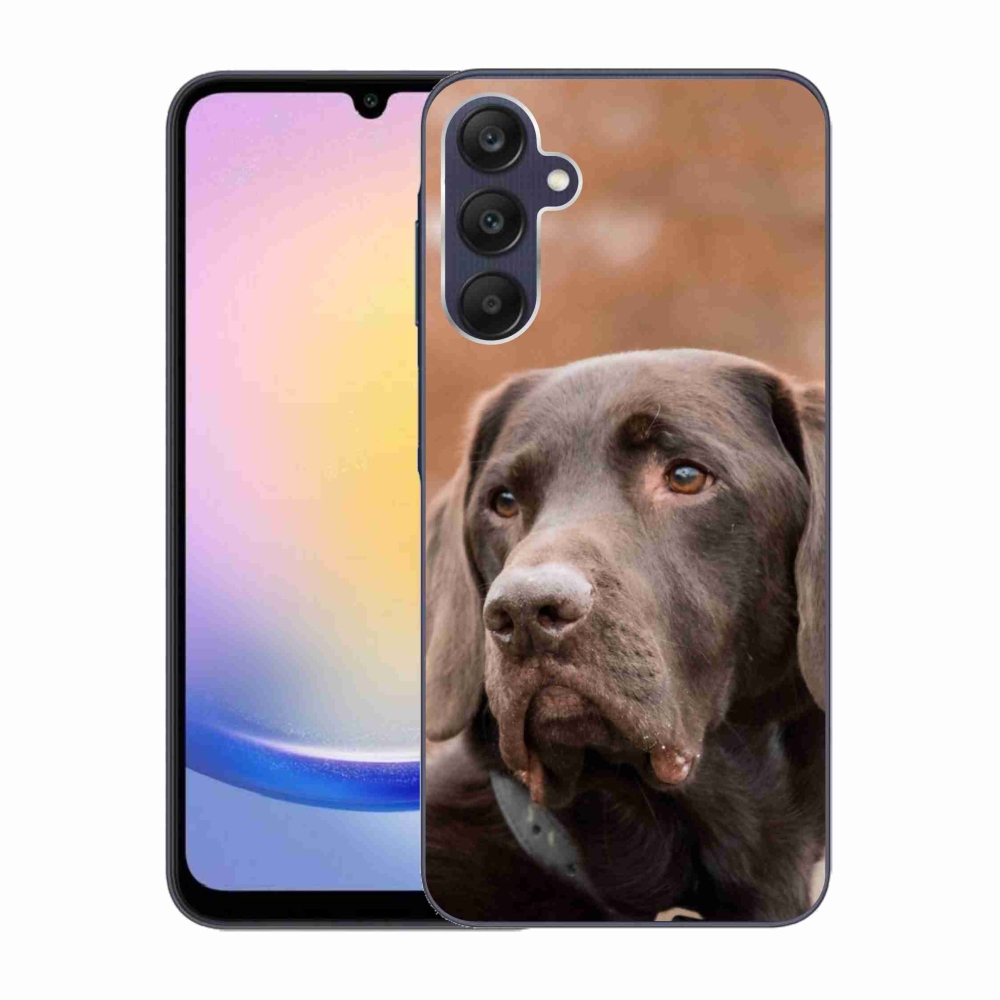 Gél tok mmCase a Samsung Galaxy A25 5G készülékhez - barna labrador