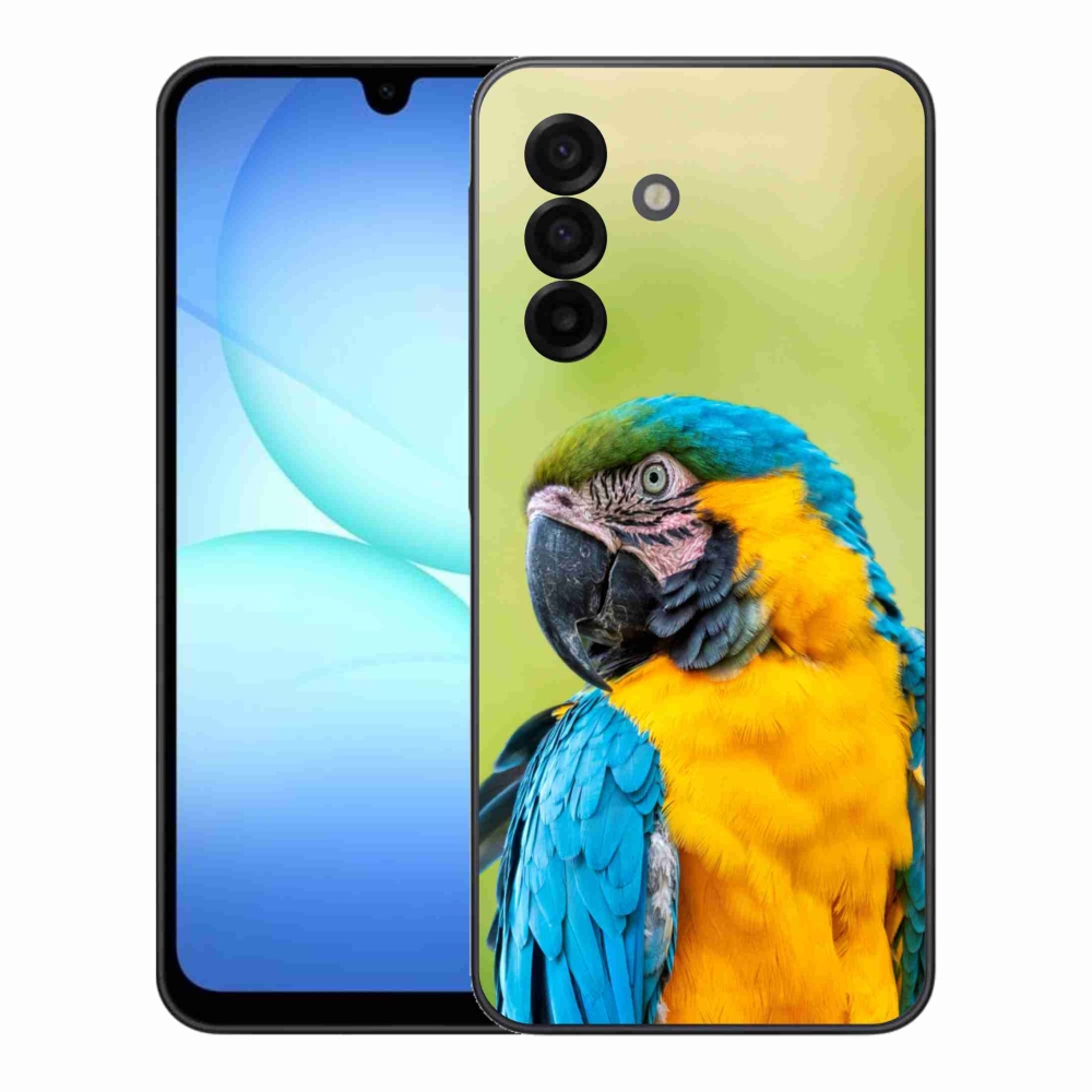 Zselés borítás mmCase Samsung Galaxy A17 4G/5G - papagáj ara 2