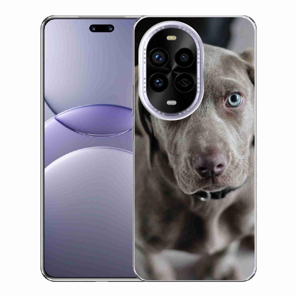 Gél borítás mmCase a Huawei Nova 13 Pro 5G-n - a nemes vadászkutya