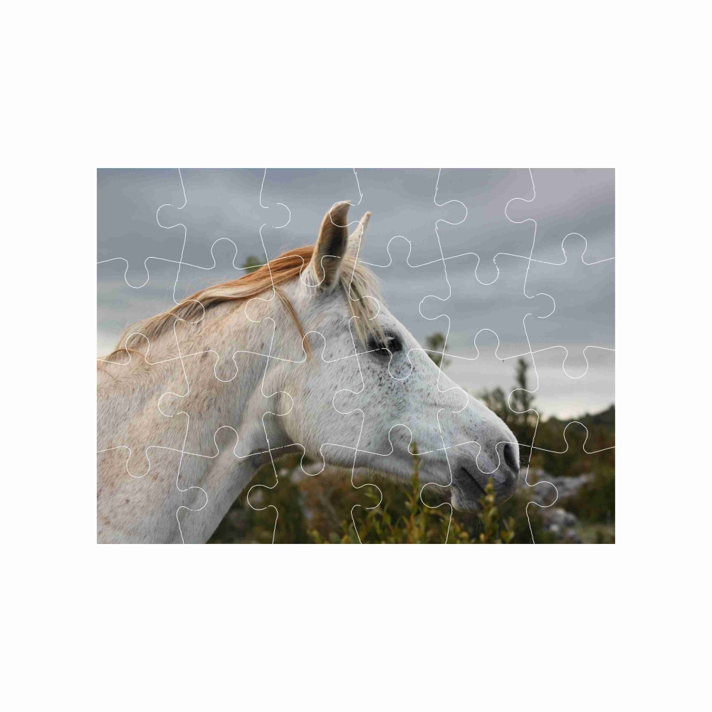 18x13cm-es (24 darabos) kirakó képpel - fehér ló