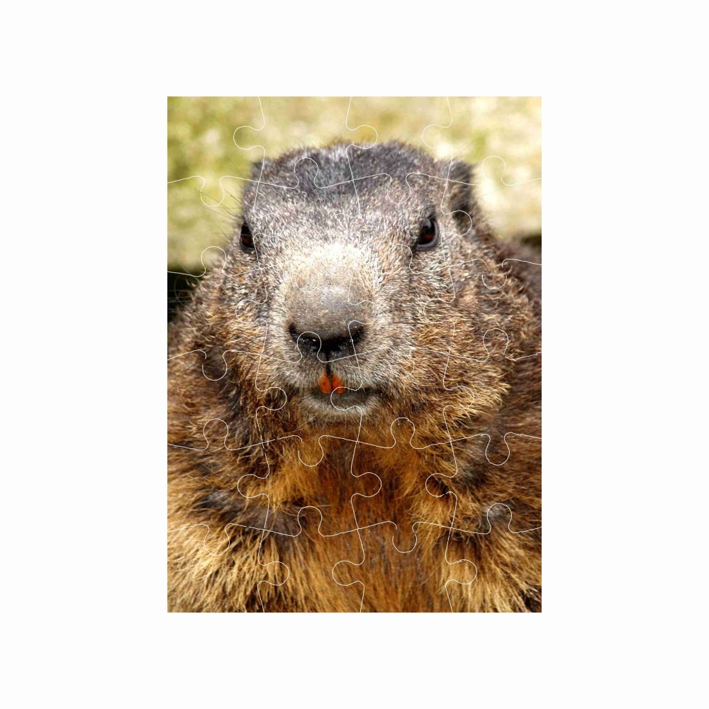 18x13cm (24 darab) képpel - mormota