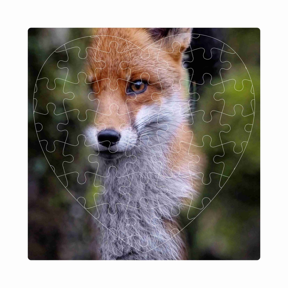 Szív alakú puzzle 19x18cm (76 darab), képpel - róka
