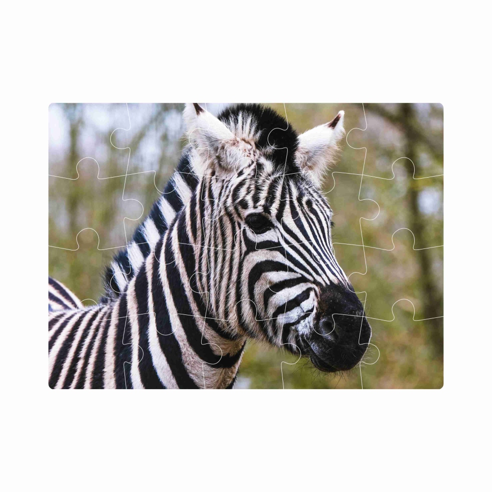 20x15 cm-es (20 darabos) kirakó képpel - zebra