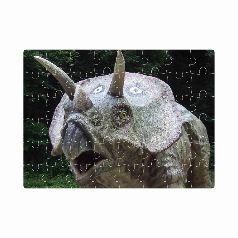 20x15 cm-es (40 darabos) kirakó képpel - Triceratops