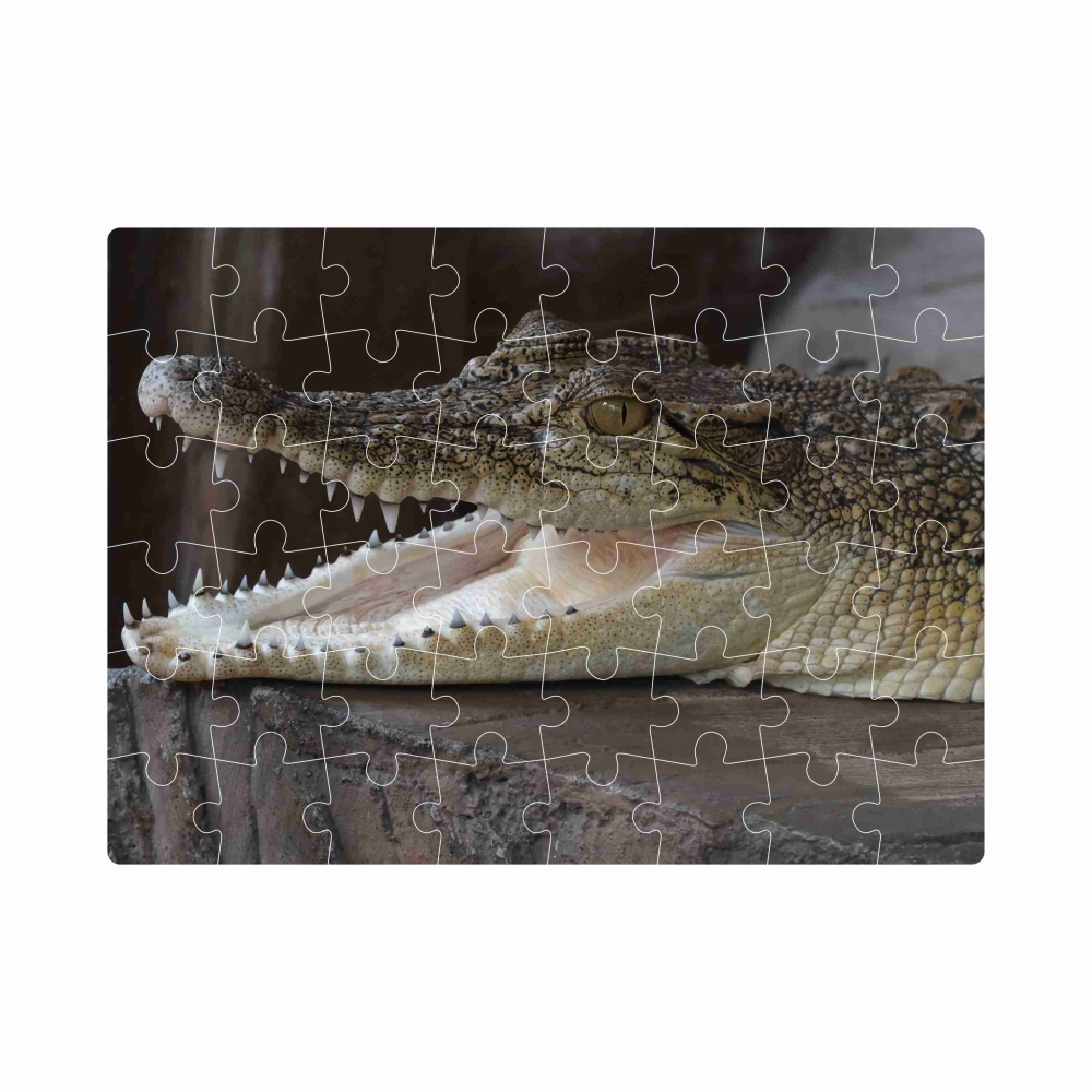 20x15 cm-es (40 darabos) kirakó képpel - egy mosolygó krokodil