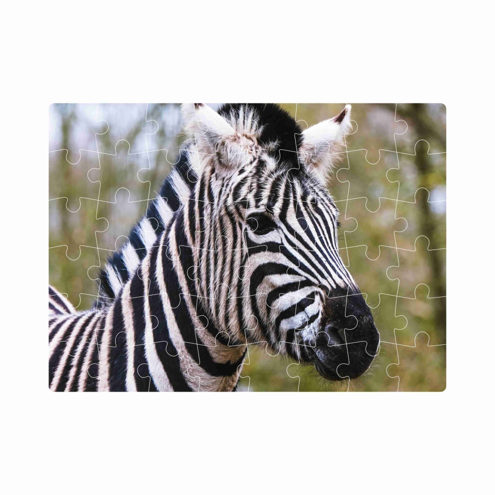 20x15 cm-es (40 darabos) kirakó képpel - zebra