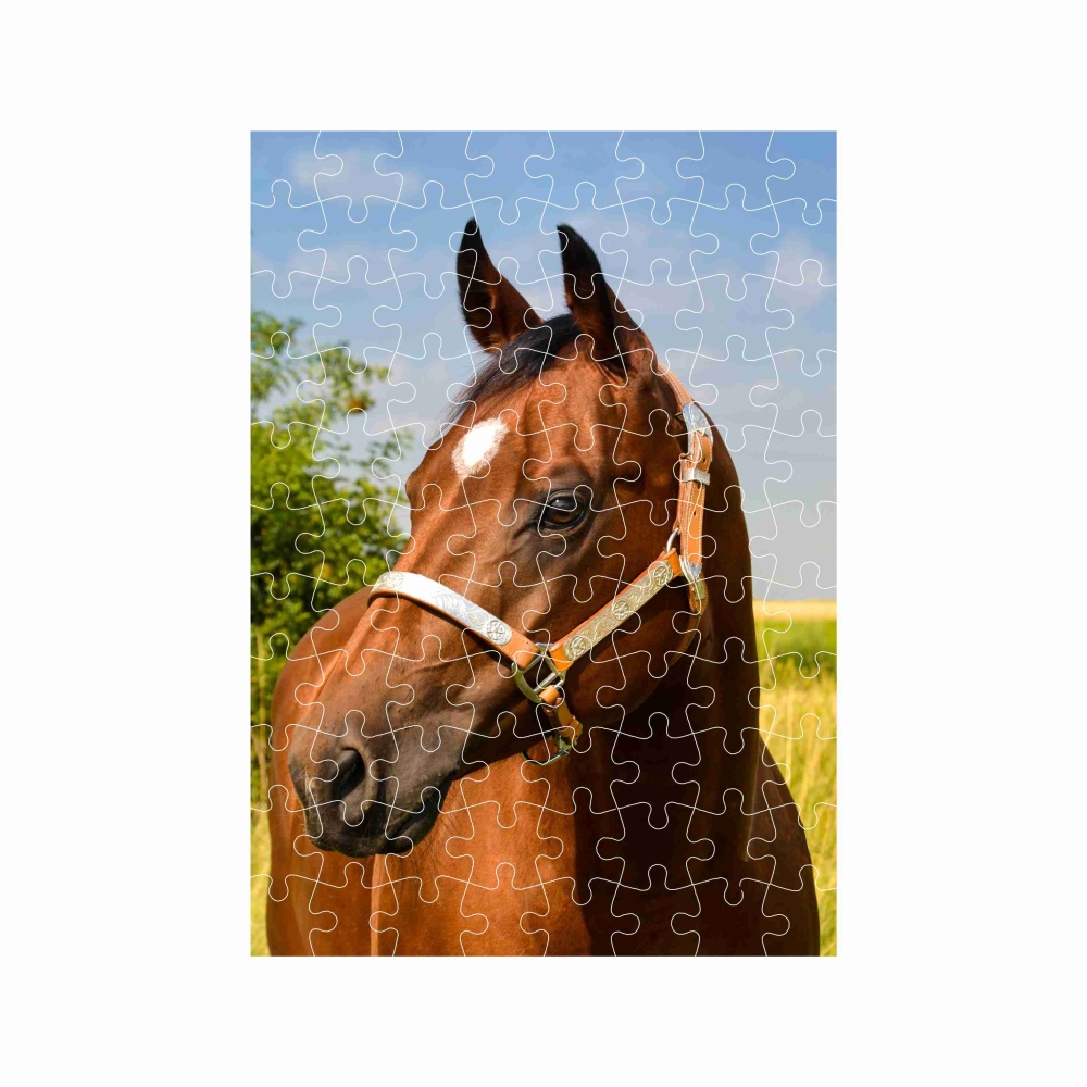 Puzzle 27x19,5cm (88 darabos) képpel - barna ló