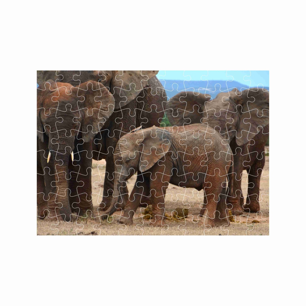 Puzzle 27x19,5cm (88 darabos) képpel - elefántcsalád