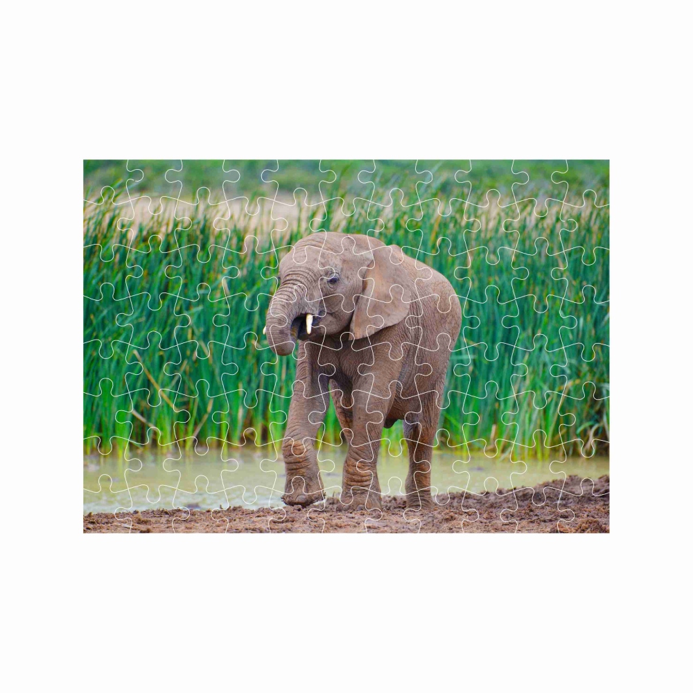 27x19,5cm-es (88 darabos) kirakó képpel - bébi elefánt