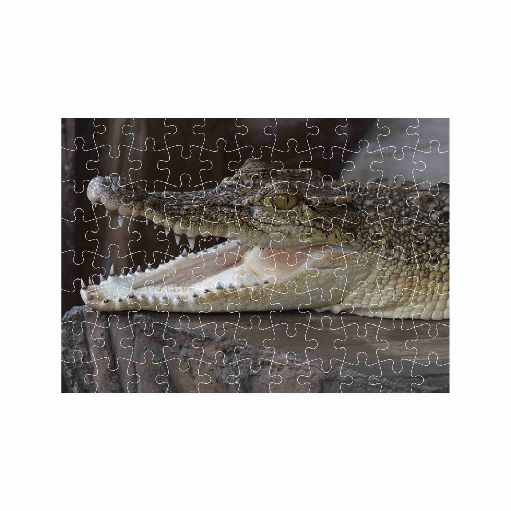 Puzzle 27x19,5cm (88 darabos) képpel - mosolygó krokodil