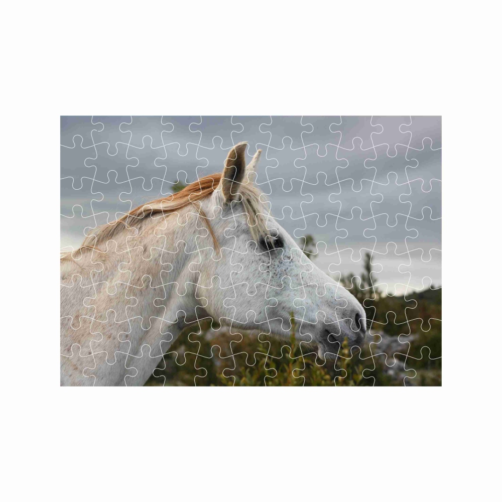 A4-es 29x20cm-es (120 darabos) kirakó képpel - fehér ló
