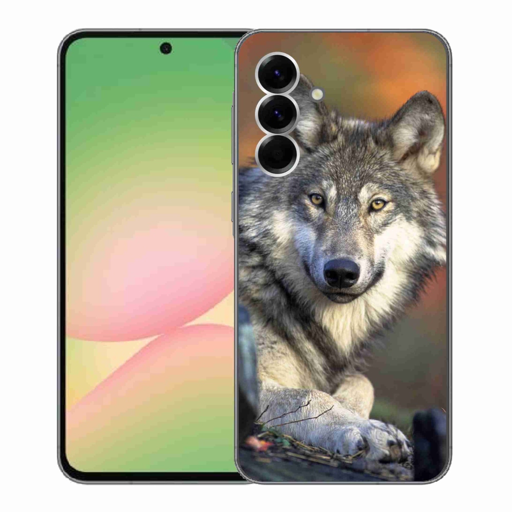 Zselés borítás mmCase Samsung Galaxy A56 5G - farkas