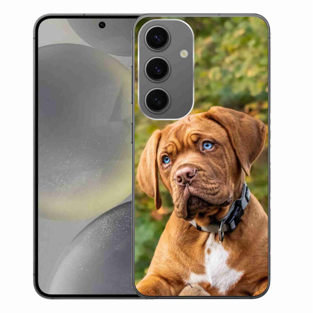 Zselés borítás mmCase Samsung Galaxy S24+ - kölyökkutyakékhez