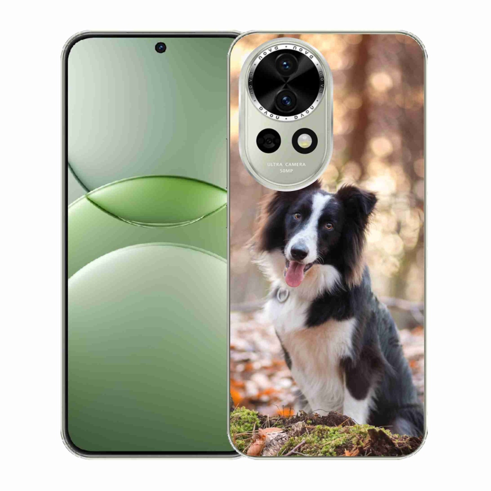 Gél borító mmCase a Huawei Nova 13 5G számára - border colie 1
