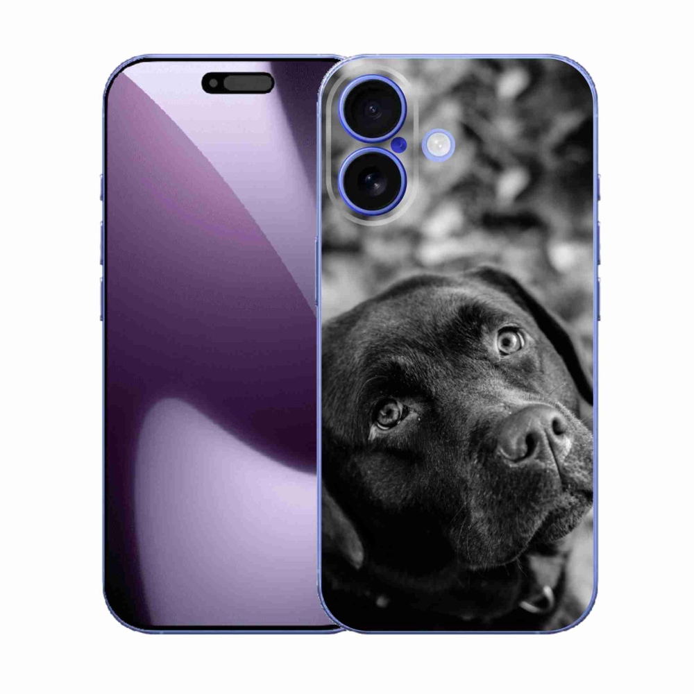 Zselés borítás mmCase iPhone 17 készülékhez - labrador