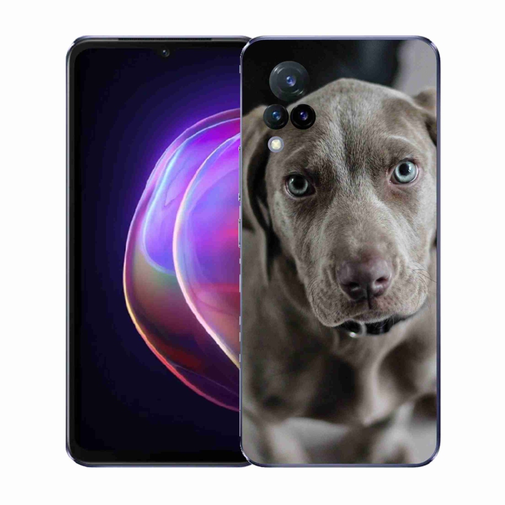 Zselés borítás mmCase a Vivo V21 4G/5G készülékhez - Weimaraner