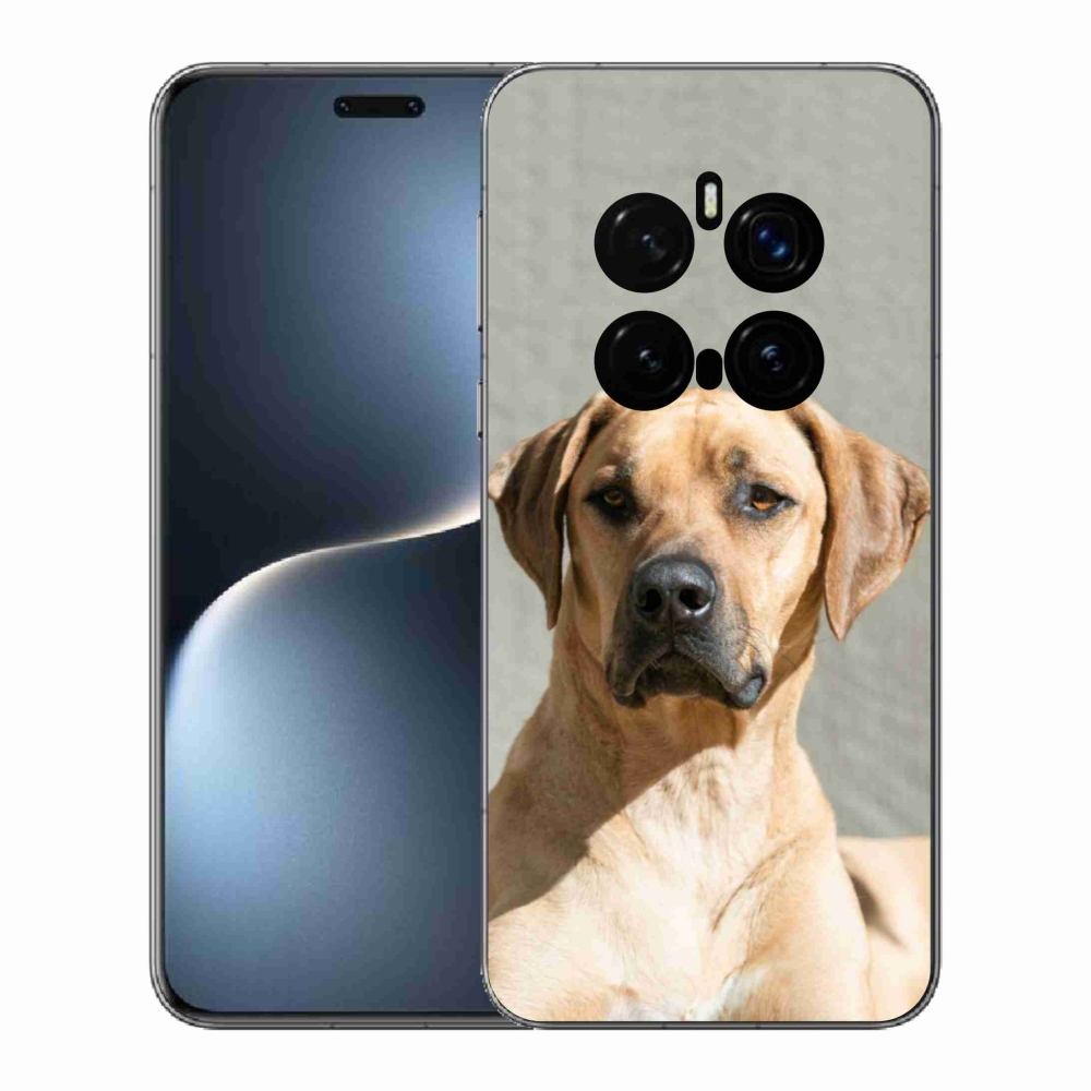 Gél borítás mmCase a Honor Magic 7 Pro 5G készülékhez - ridgeback