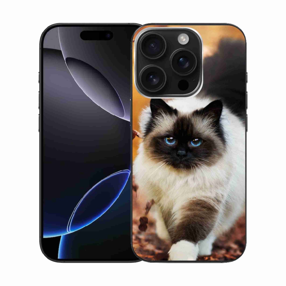 Gél tok mmCase iPhone 16 Pro készülékhez - macska