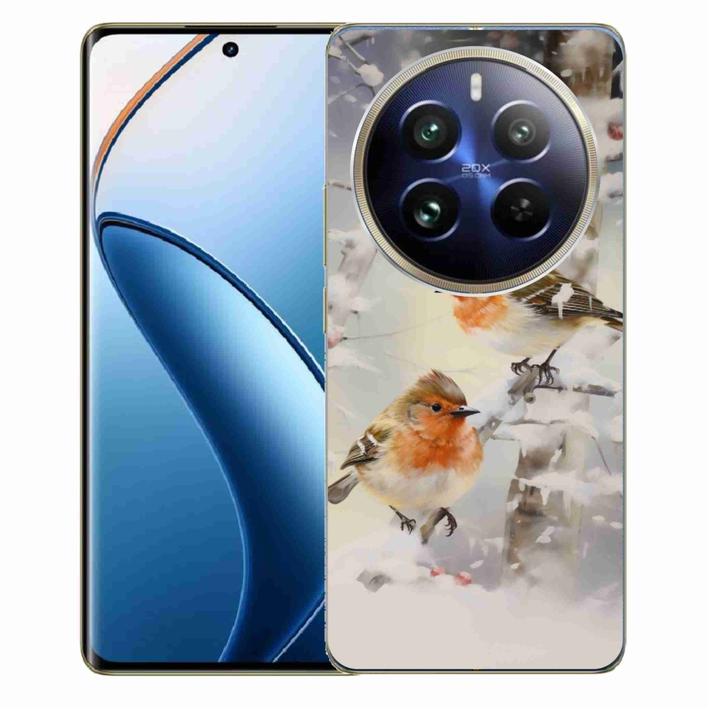 Zselés borítás mmCase a Realme 12 Pro 5G/12 Pro+ 5G számára - madarak télen
