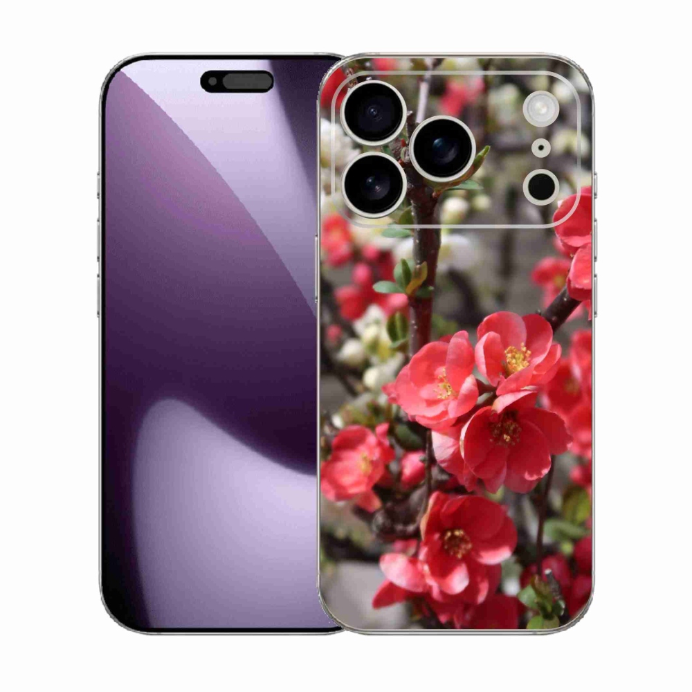 Gél borítás mmCase iPhone 17 Pro készülékhez - piros virágok