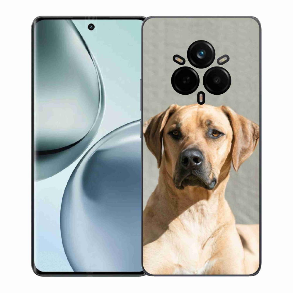 Gél borítás mmCase a Realme 14 Pro+ 5G számára - ridgeback