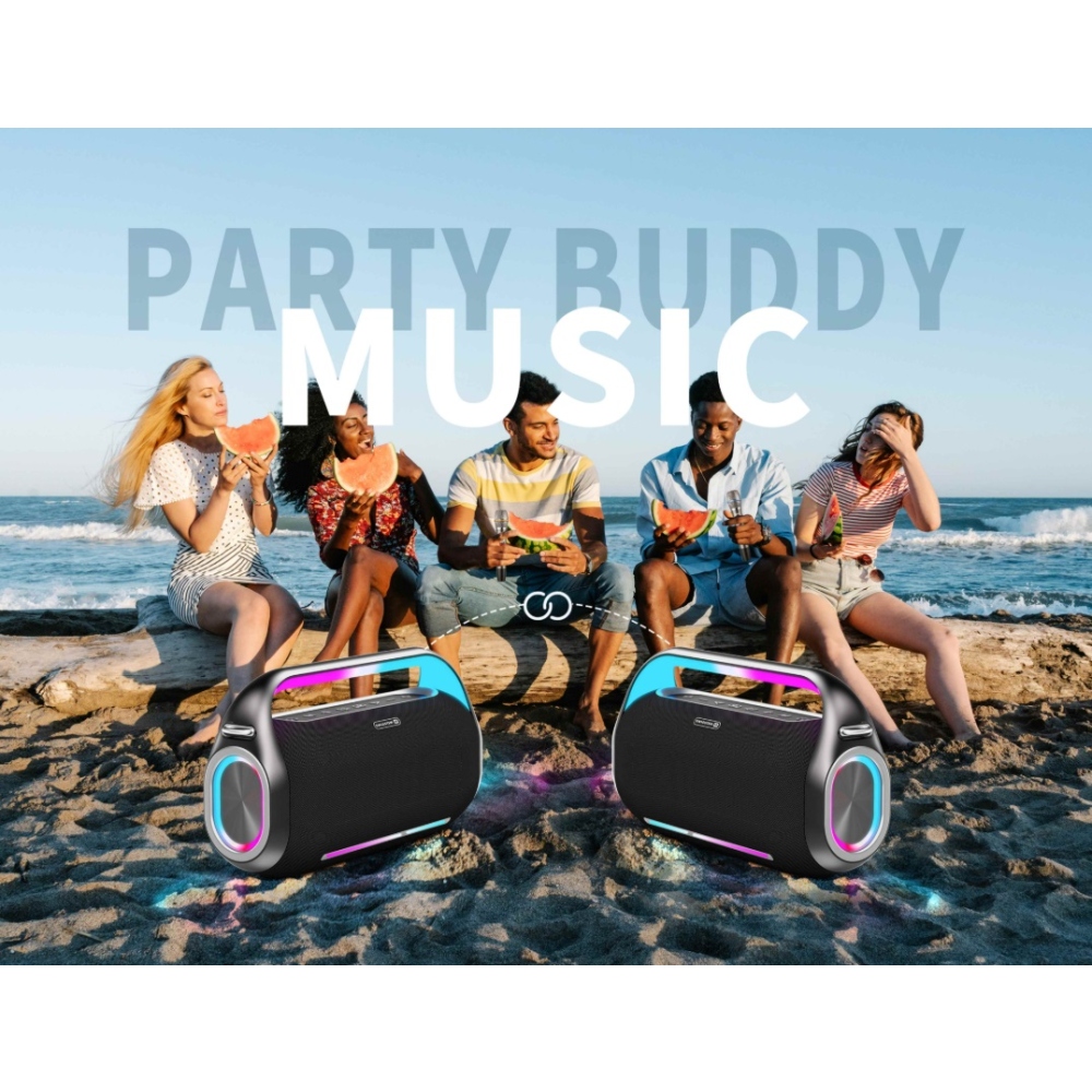 SWISSTEN Bluetooth hangszóró Harmony 300W - fekete