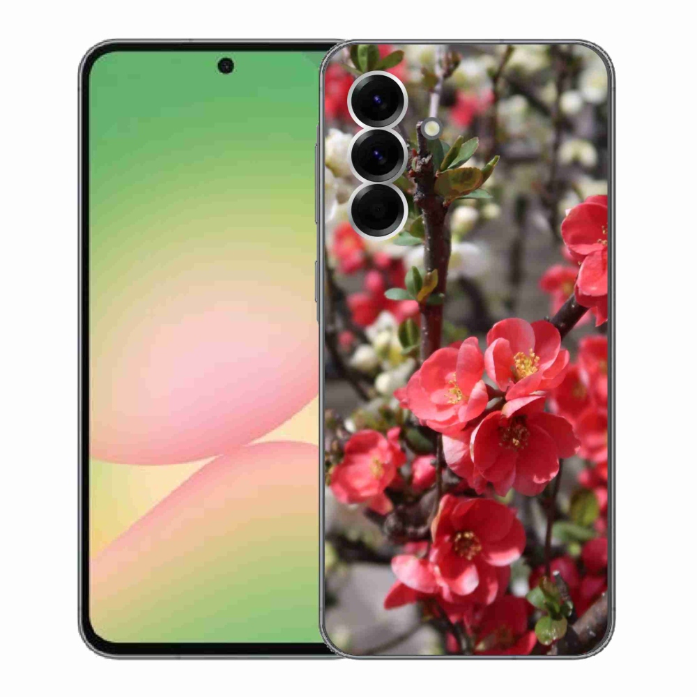 Gél borítás mmCase Samsung Galaxy A56 5G - piros virágok