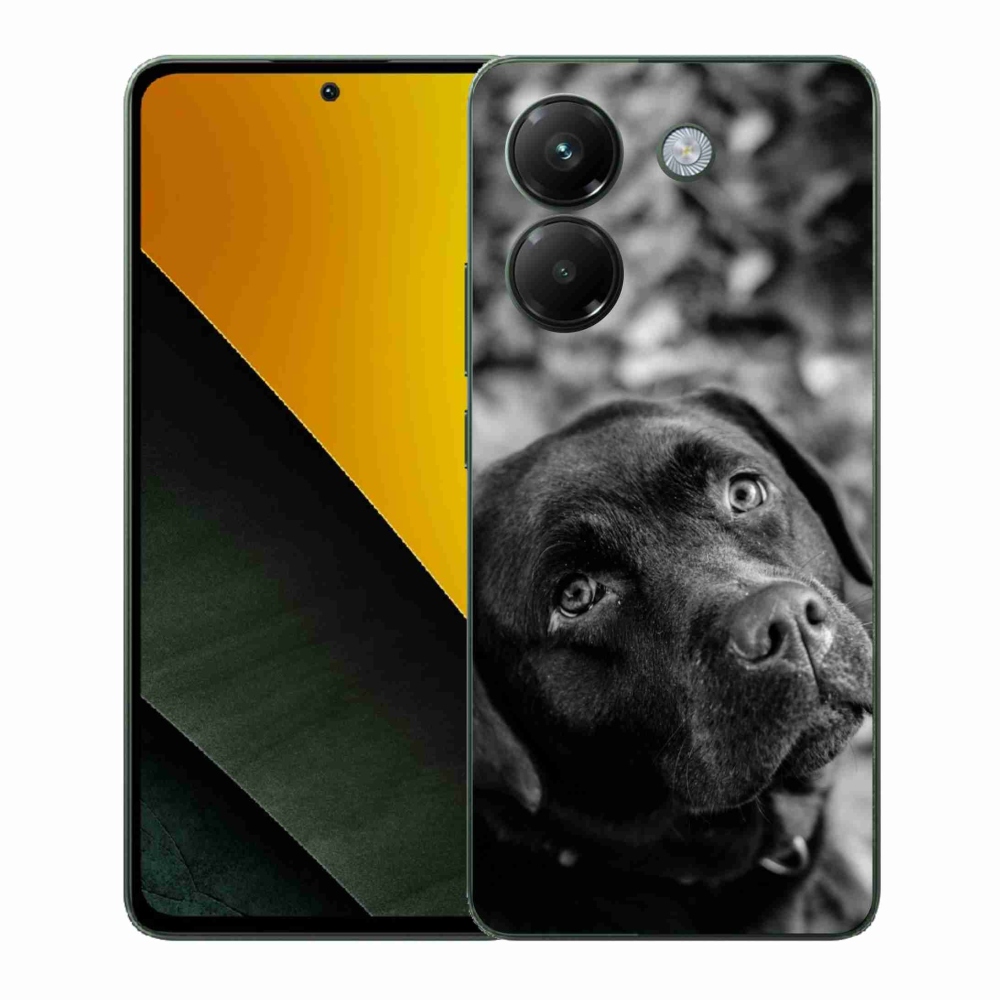 Gél borítás mmCase a Xiaomi Poco M7 Pro 5G számára - labrador
