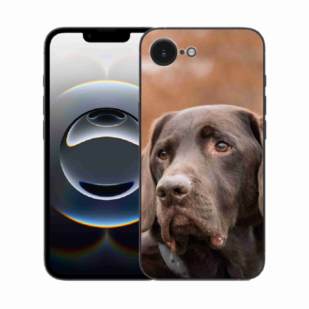 Zselés borítás mmCase iPhone 16e készülékhez - barna labrador