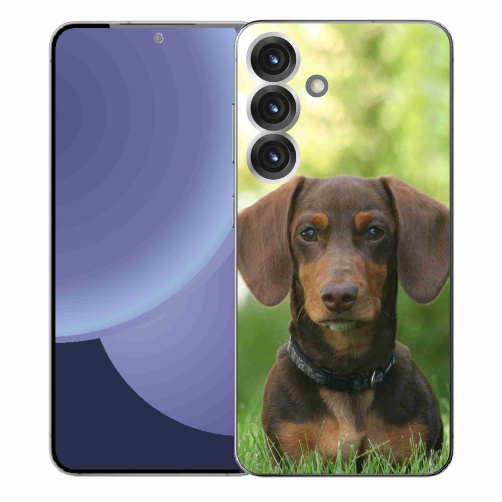 Zselés borítás mmCase Samsung Galaxy S25+ készülékhez - barna tacskó