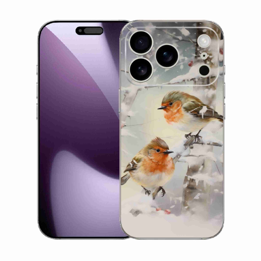 Zselés borítás mmCase iPhone 17 Pro készülékhez - madarak télen