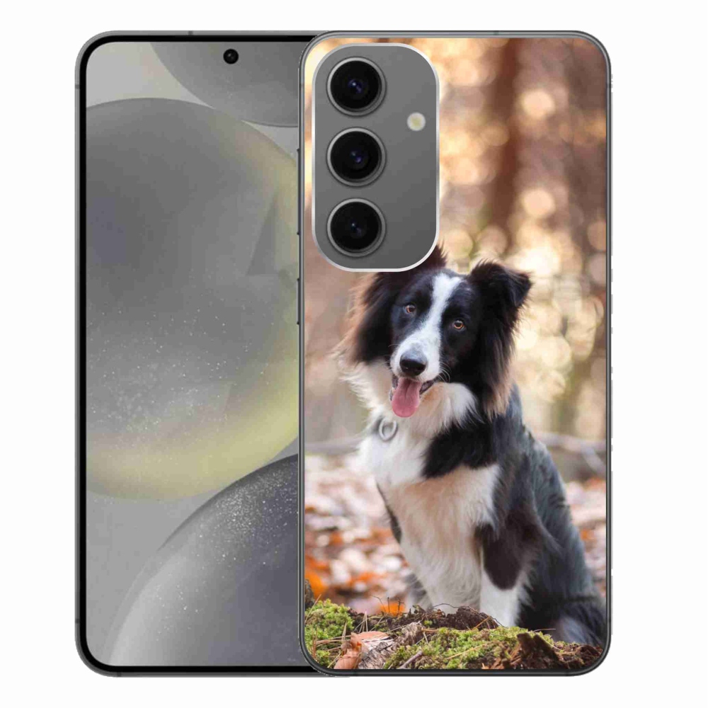 Gél tok mmCase a Samsung Galaxy S24+ készülékhez - border colie 1