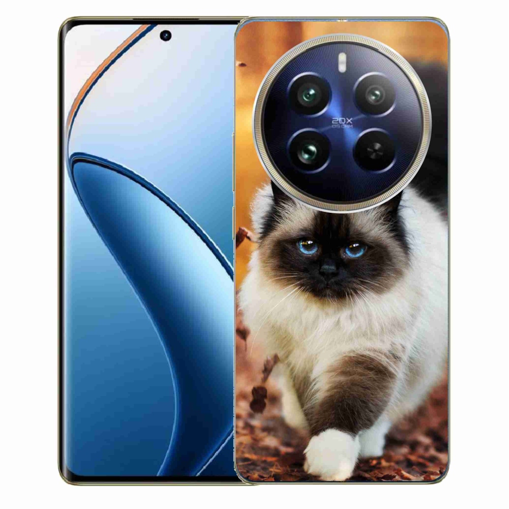 Gél tok mmCase a Realme 12 Pro 5G/12 Pro+ 5G modellhez - macska