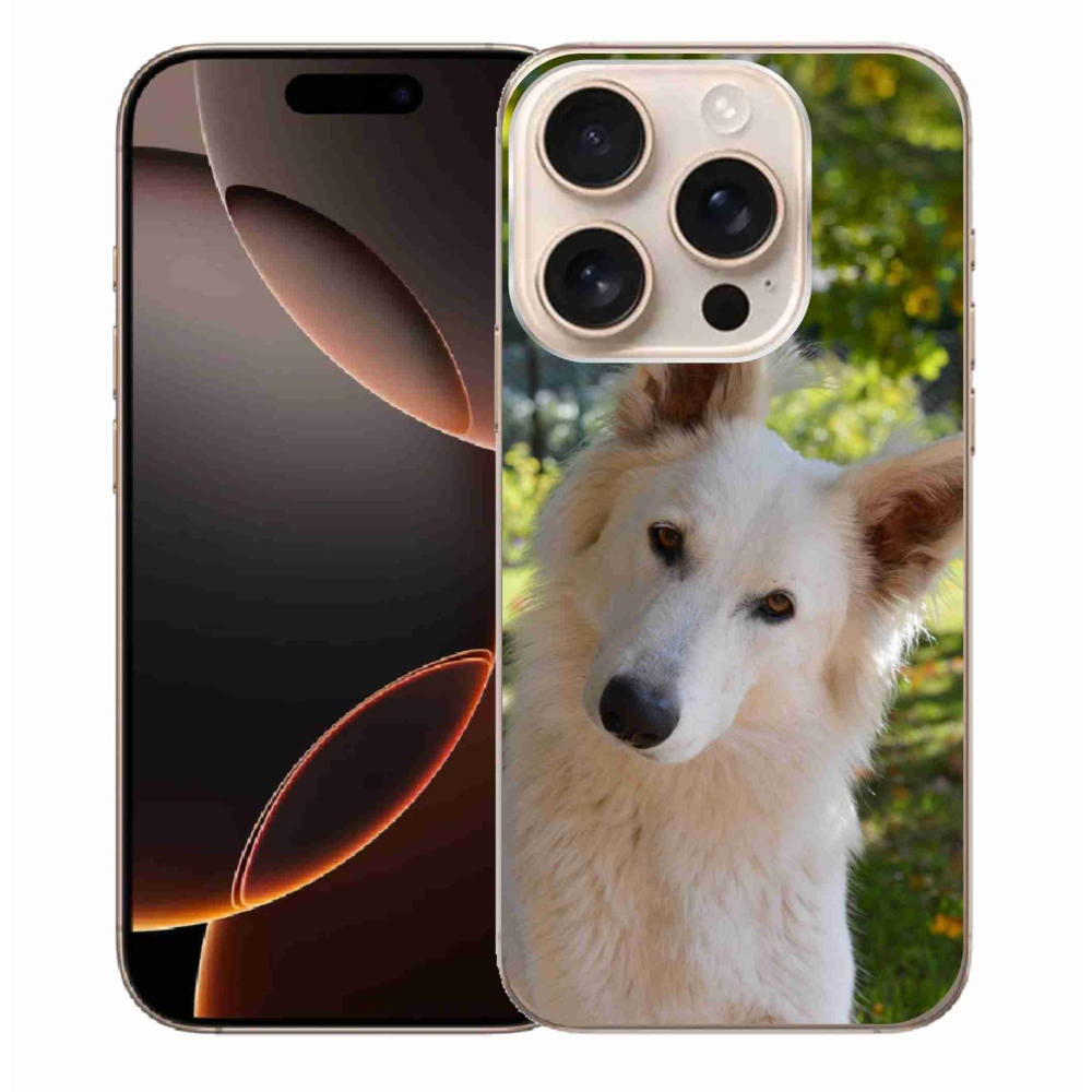Gél borítás mmCase iPhone 16 Pro Max készülékhez - Fehér svájci juhász 1
