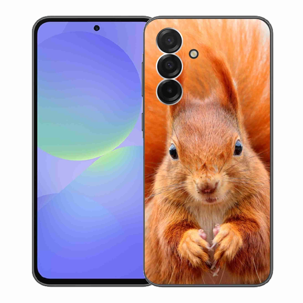 Zselés borítás mmCase Samsung Galaxy A36 5G - mókus